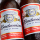 Illustration for article titled Budweiser Reveals Their Beer Ingredients In Response to Petition